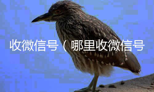 收微信号24小时收vx秒结（哪里收微信号）